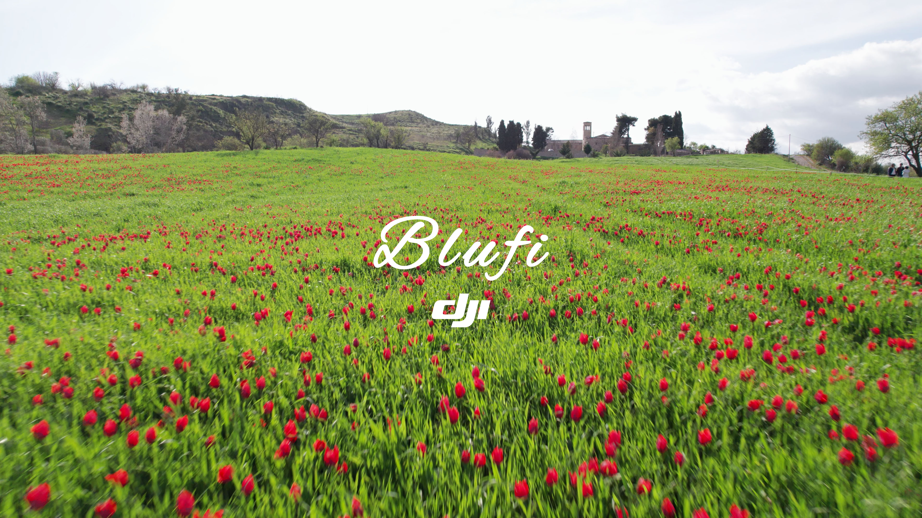 BLUFI
