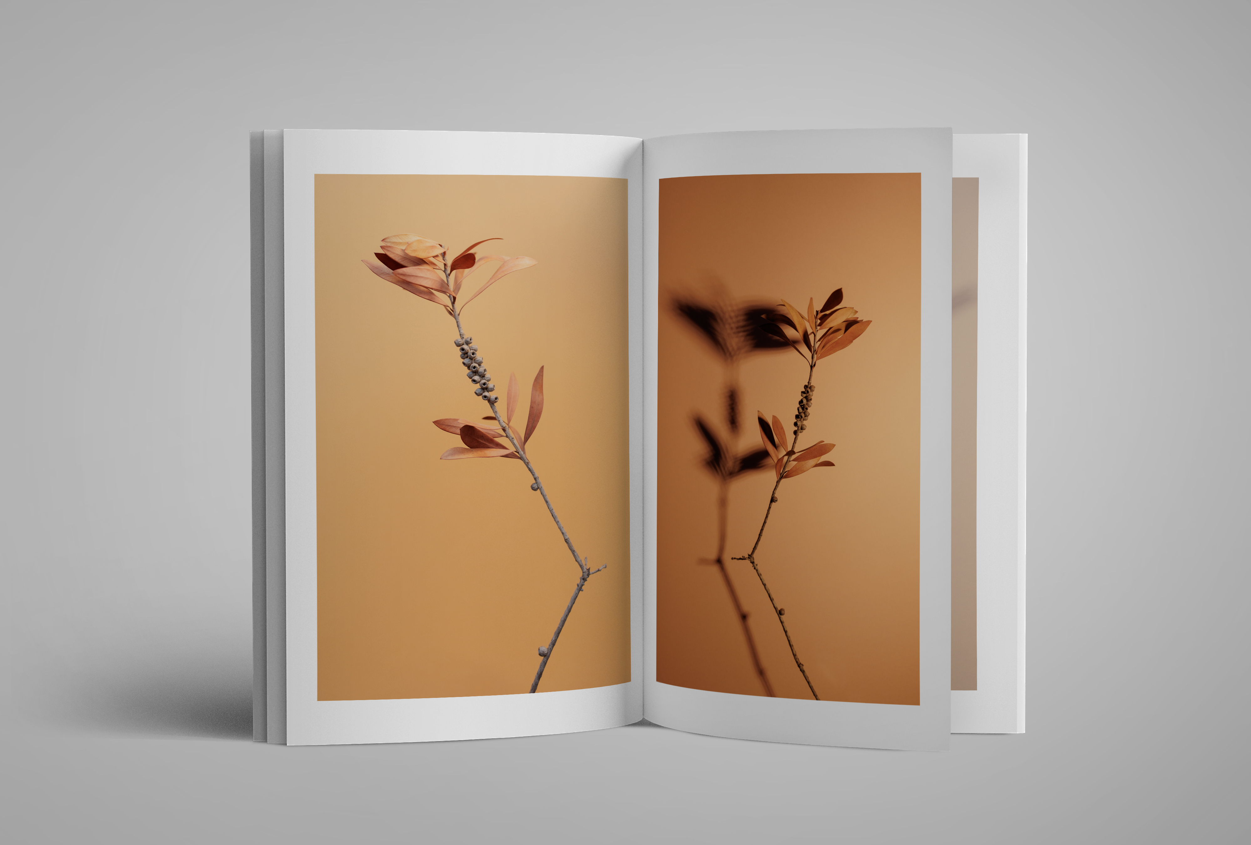 Mockup